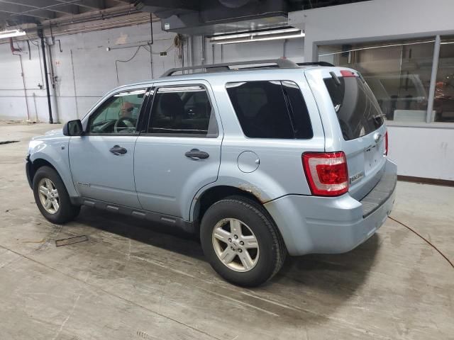 2008 Ford Escape HEV