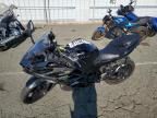 2024 Kawasaki EX500 H