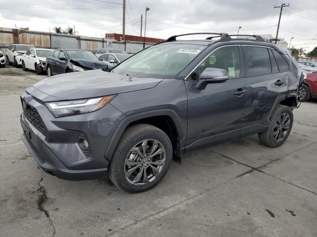 2025 Toyt 2025 Toyota Rav4 XLE Premium