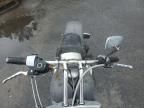 2006 Saxo Sceptre
