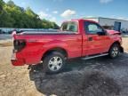 2010 Ford F150