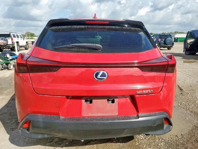 2019 Lexus UX 250H