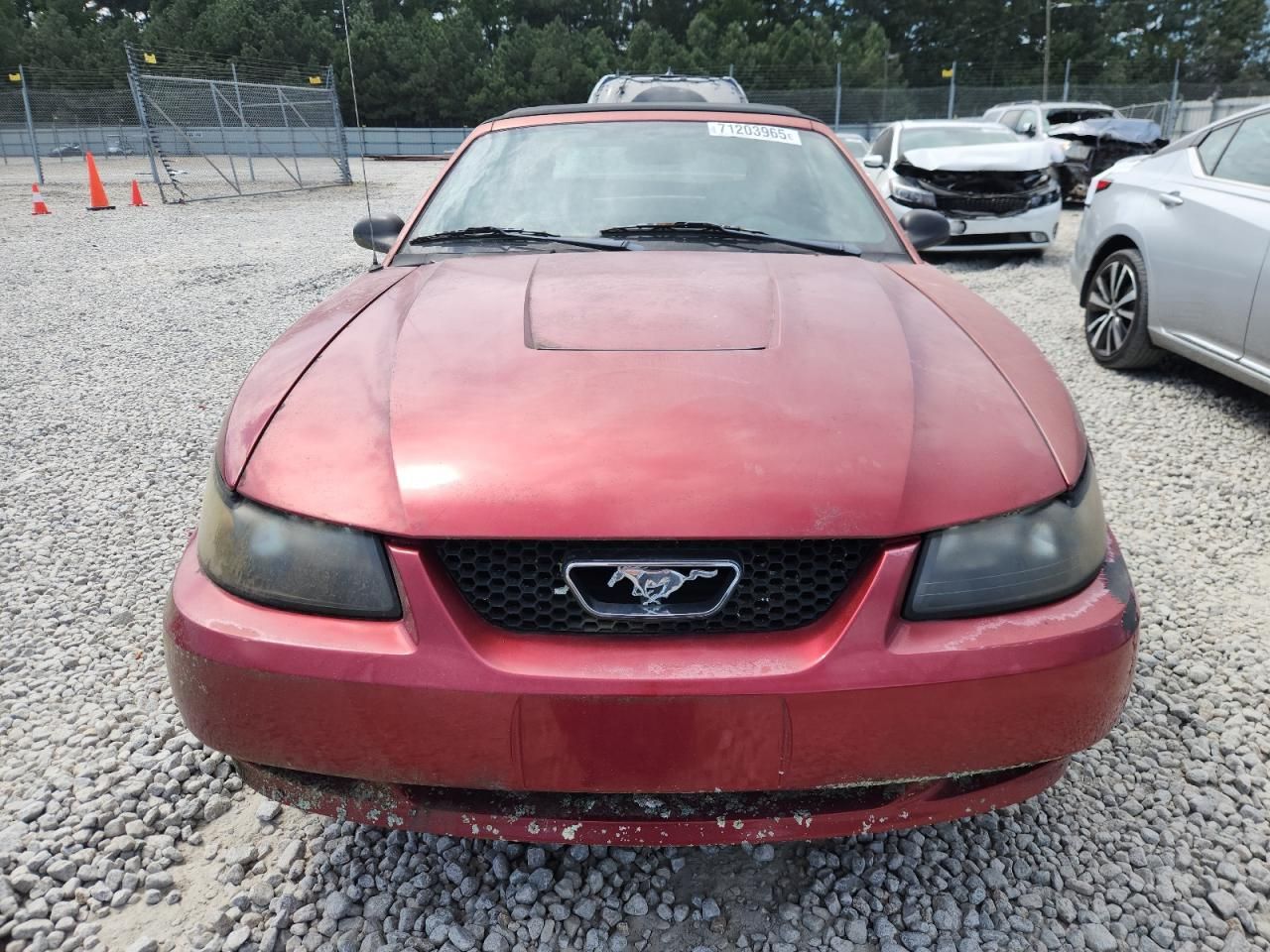 2003 Ford Mustang