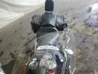 2005 Kawasaki VN1500 N1