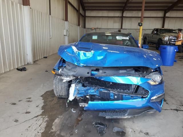 2019 Ford Mustang gt