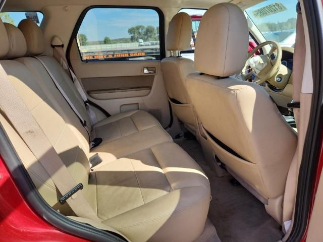 2010 Ford Escape Limited