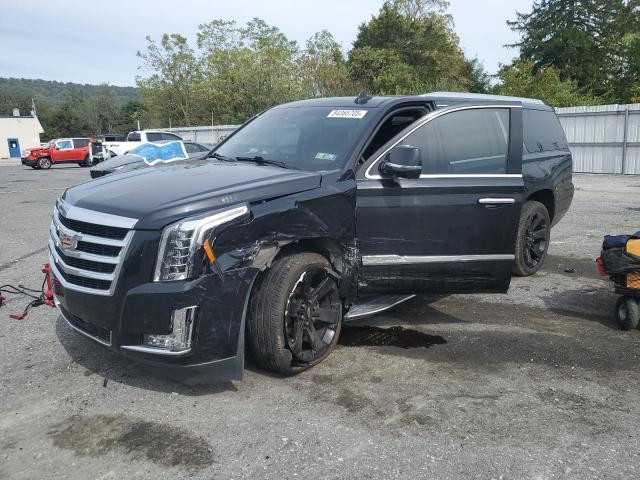 2017 Cadillac Escalade esv Luxury
