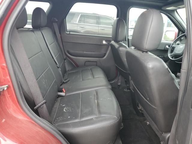 2011 Ford Escape Limited