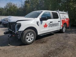 2022 Ford F150 Supercrew for sale in Cookstown, ON