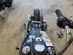 2017 Harley-Davidson Fxdb Dyna Street BOB