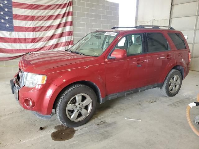 2011 Ford Escape Limited