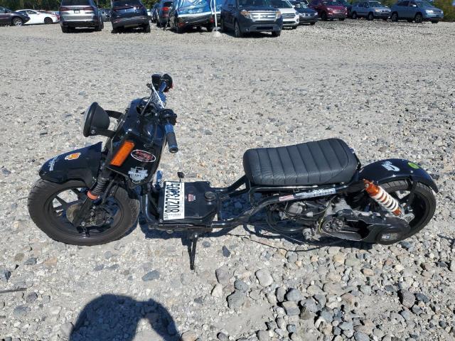 2025 Ice Bear Maddog