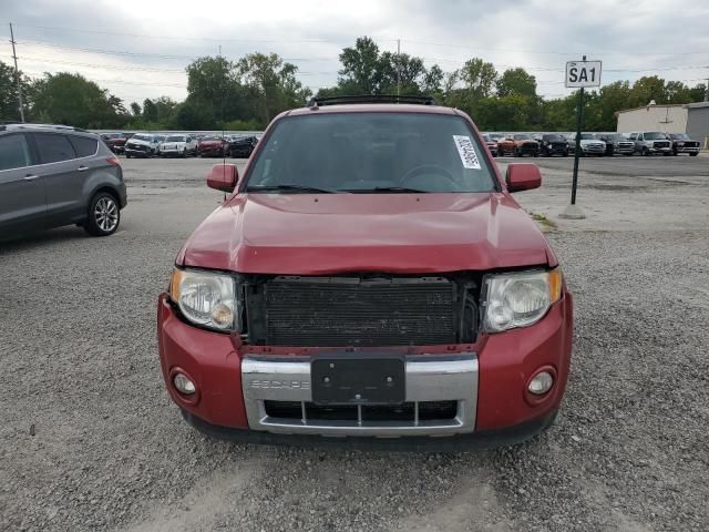 2011 Ford Escape Limited