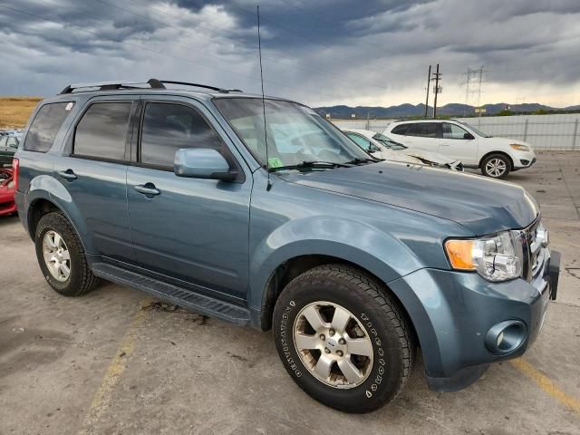 2011 Ford Escape Limited
