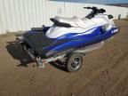 2025 Yamaha Wave W/TRL