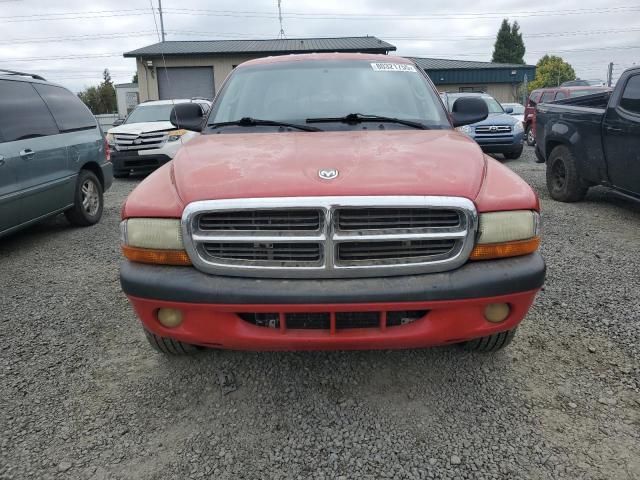 2004 Dodge Dakota Quad Sport