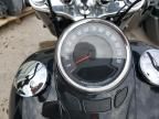 2021 Harley-Davidson Flhcs