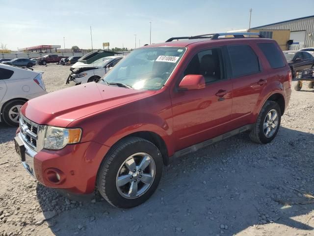 2012 Ford Escape Limited