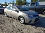 2014 Toyota Corolla ECO