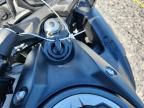 2024 Kawasaki EX650 P