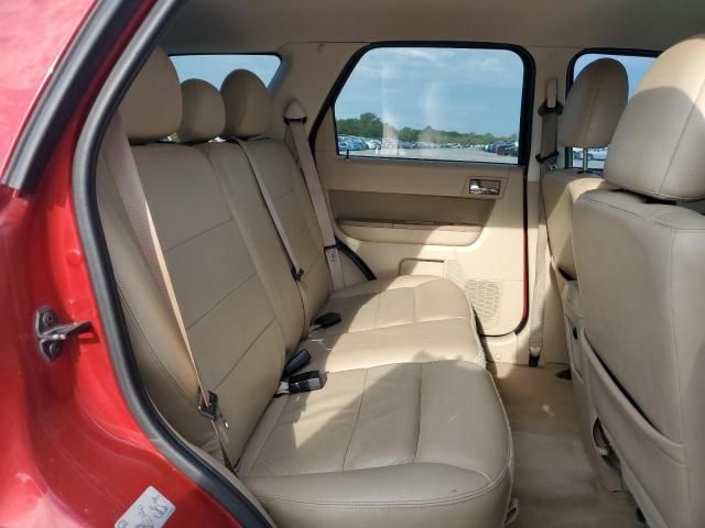 2010 Ford Escape Limited