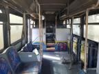 2009 GIL Transit Bus
