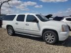 2008 GMC Yukon XL Denali