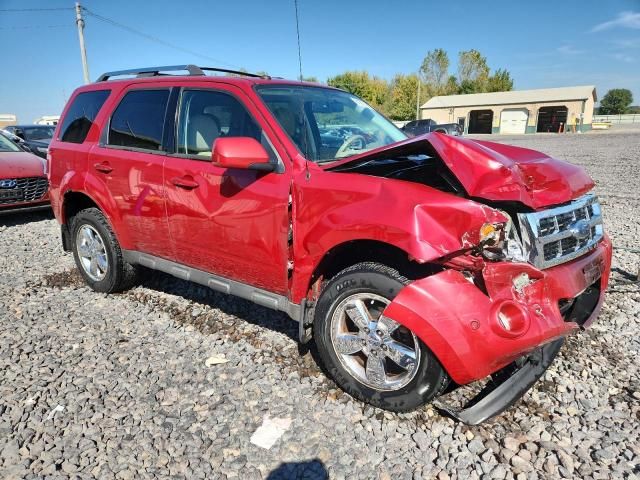 2010 Ford Escape Limited