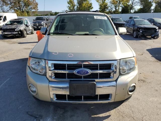 2011 Ford Escape Limited