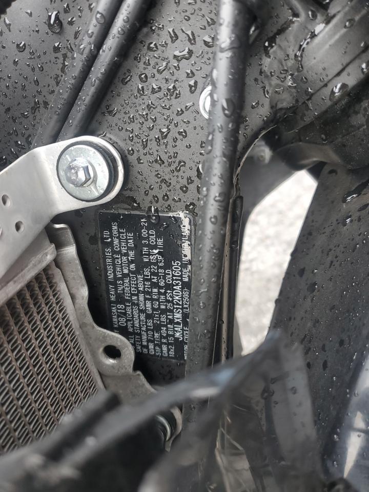 2019 Kawasaki KLX250 S