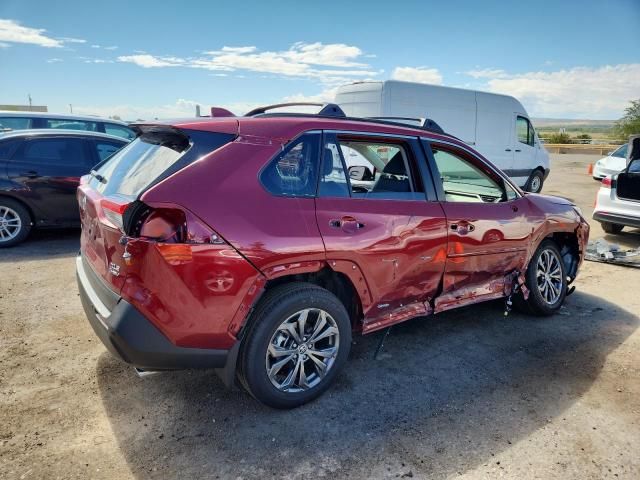 2025 Toyota Rav4 XLE Premium