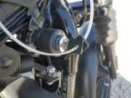 2022 Harley-Davidson XL883 N