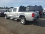 2008 Dodge Dakota SXT