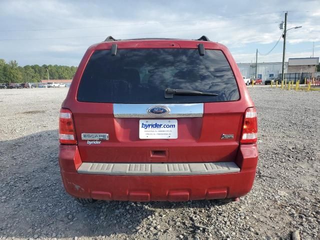 2010 Ford Escape Limited