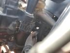 2024 Kawasaki EX500