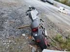 2003 Ducati Monster 1000S IE