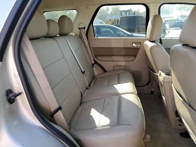 2011 Ford Escape Limited