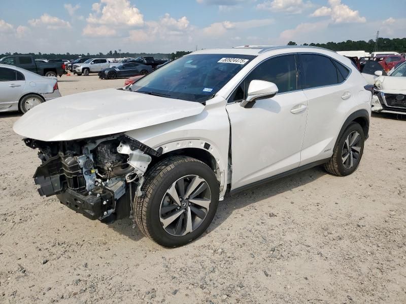 2018 Lexus NX 300H