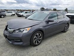 2017 Honda Accord EXL for sale in Antelope, CA
