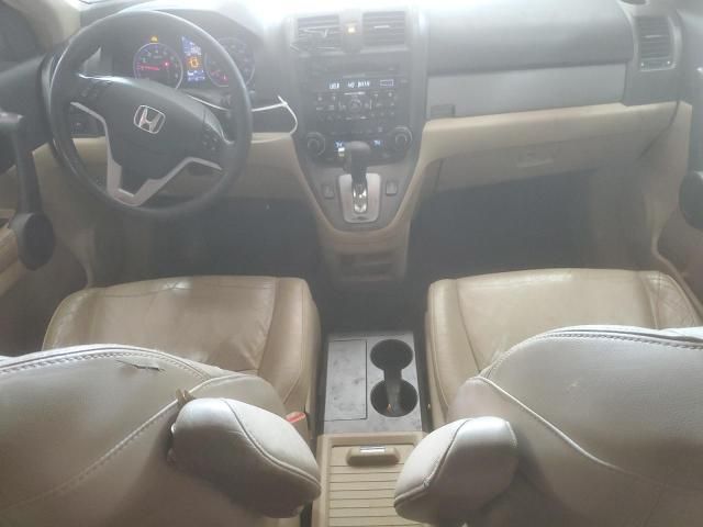 2010 Honda CR-V EXL