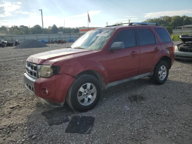 2010 Ford Escape Limited