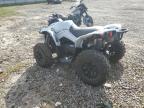 2024 Can-Am Renegade 650