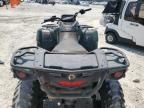 2021 True Outlander 450(DPS)