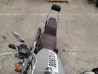 2024 Harley-Davidson Fxst