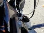 2024 Harley-Davidson Fxbbs