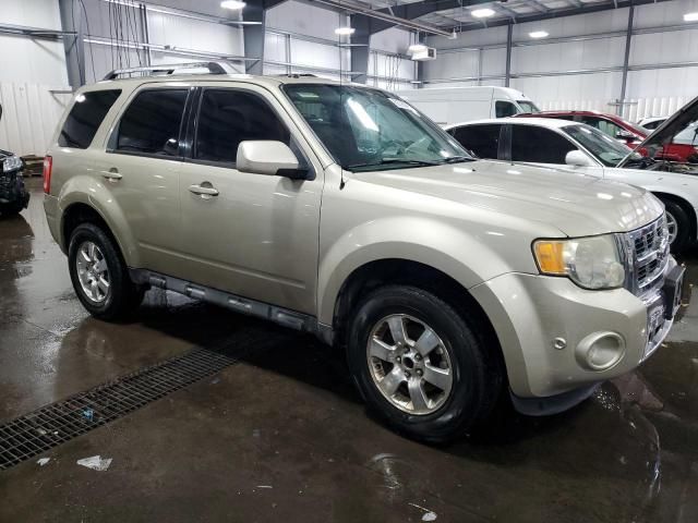2011 Ford Escape Limited