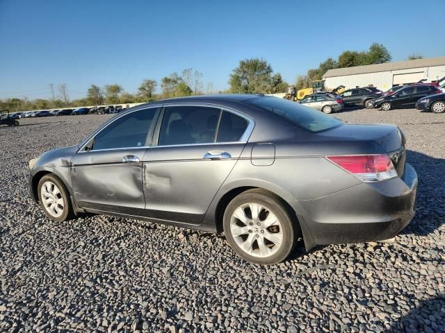 2010 Honda Accord EXL