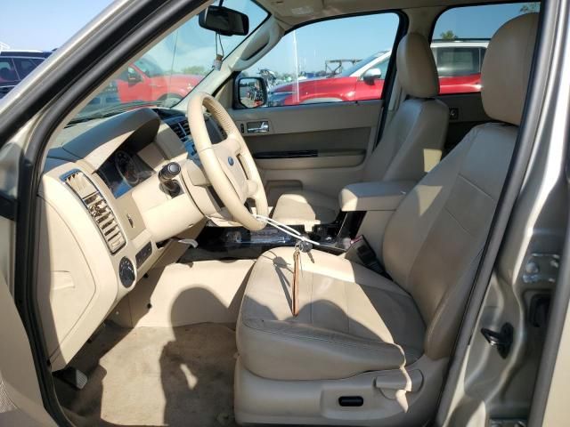 2011 Ford Escape Limited