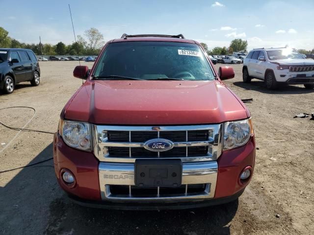 2011 Ford Escape Limited
