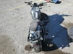 2023 Honda CMX1100 D